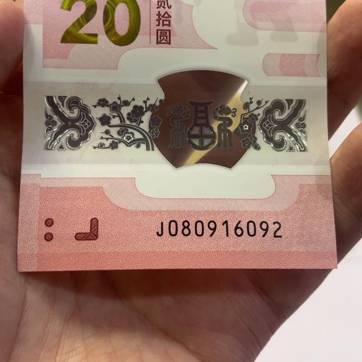 蛇钞朦胧号裸钞单张080916092