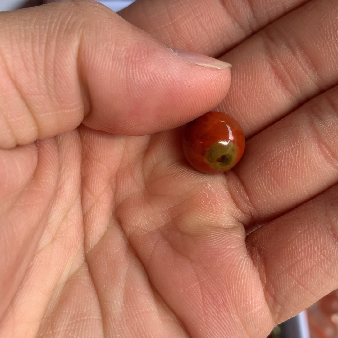 南红玛瑙珠宝半成品未镶嵌