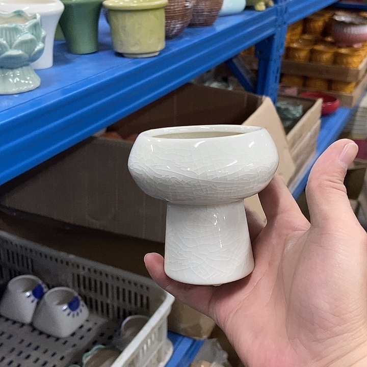 花盆单场满9.9发货7.5×9