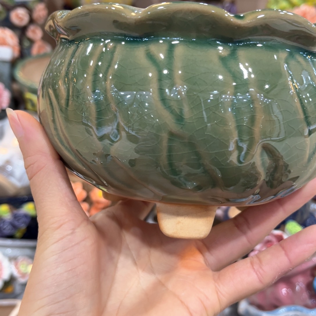 红陶福利福利福利