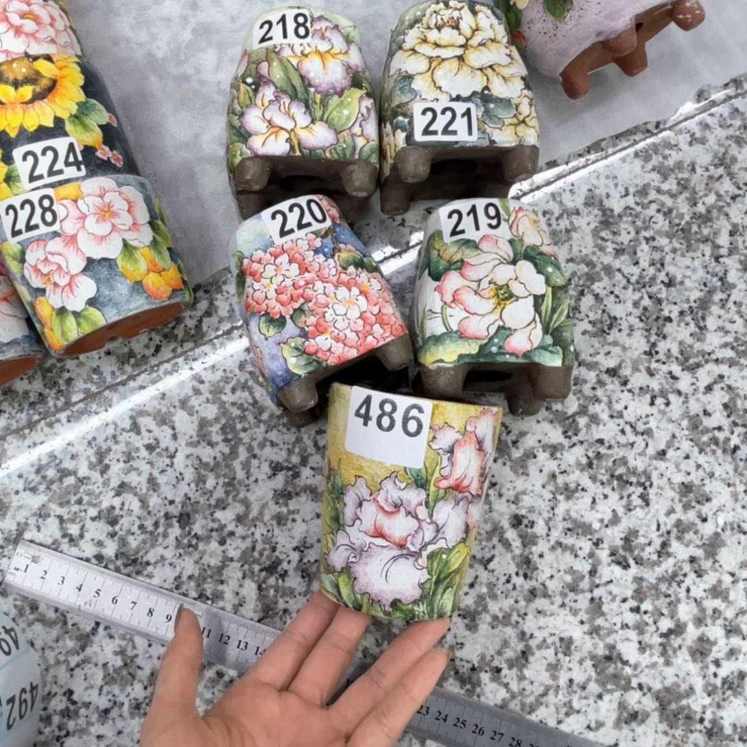 海***霞扶泥5个赠压盆石1个