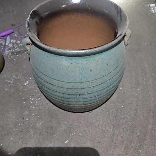 【闪购商品】红陶25-30耳朵一个绿色