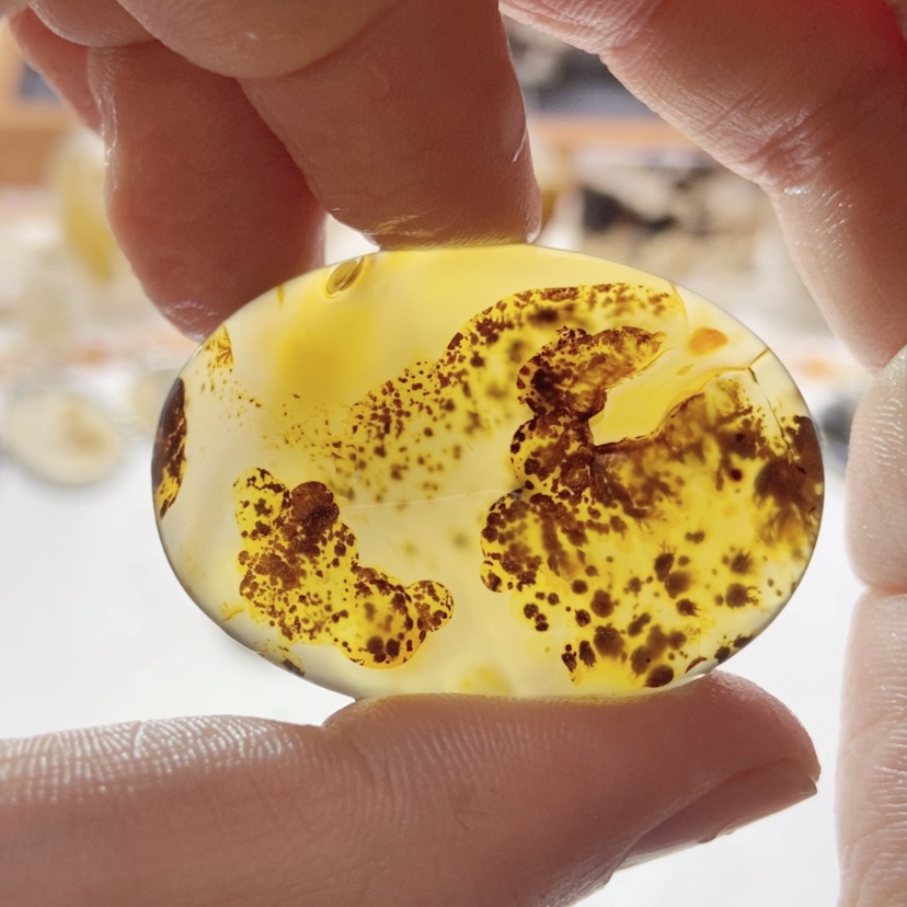 【闪购商品】玛瑙/玉髓颈饰未镶嵌