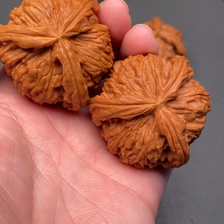 不***了木质类核桃核桃核桃