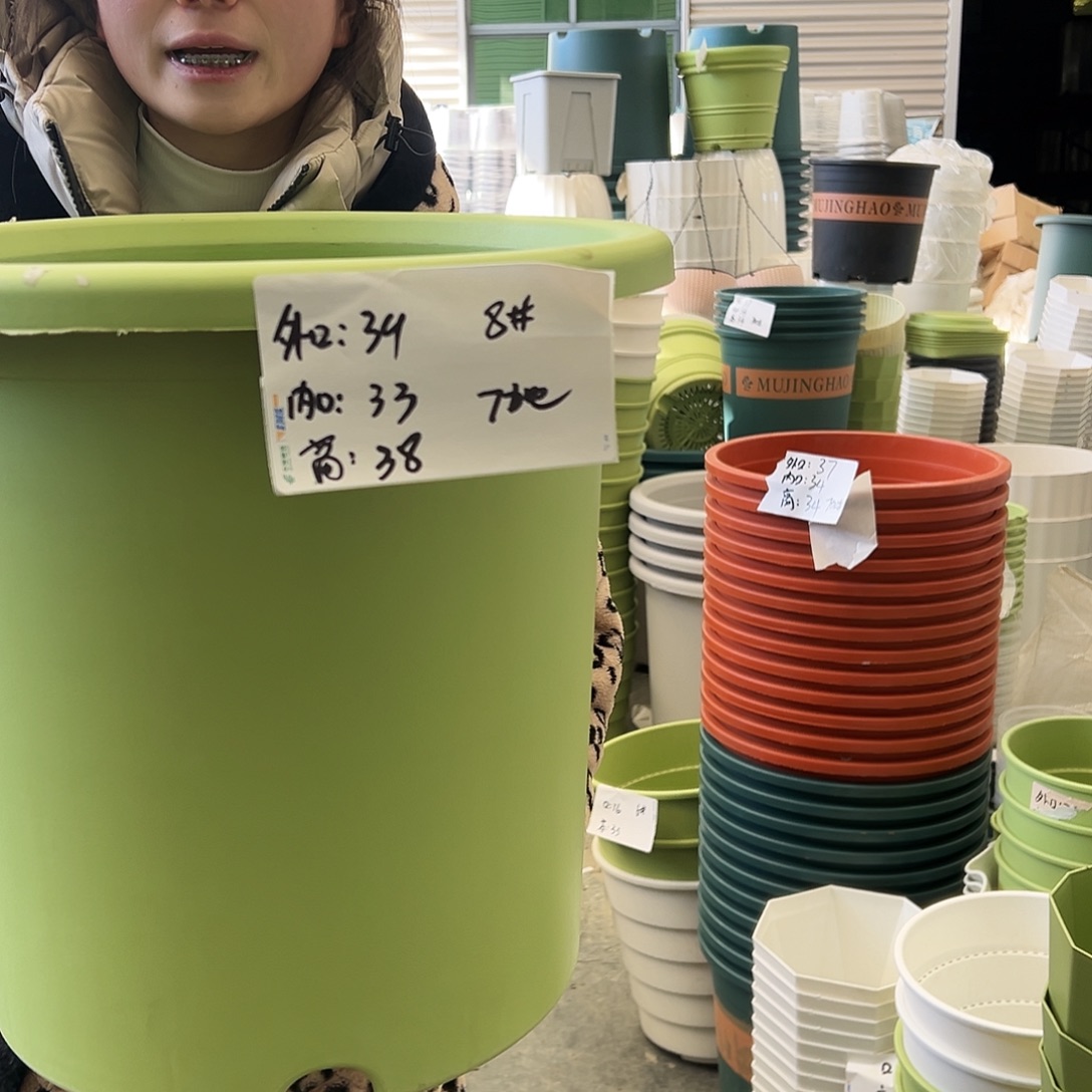 四季盆8#果绿5个无托