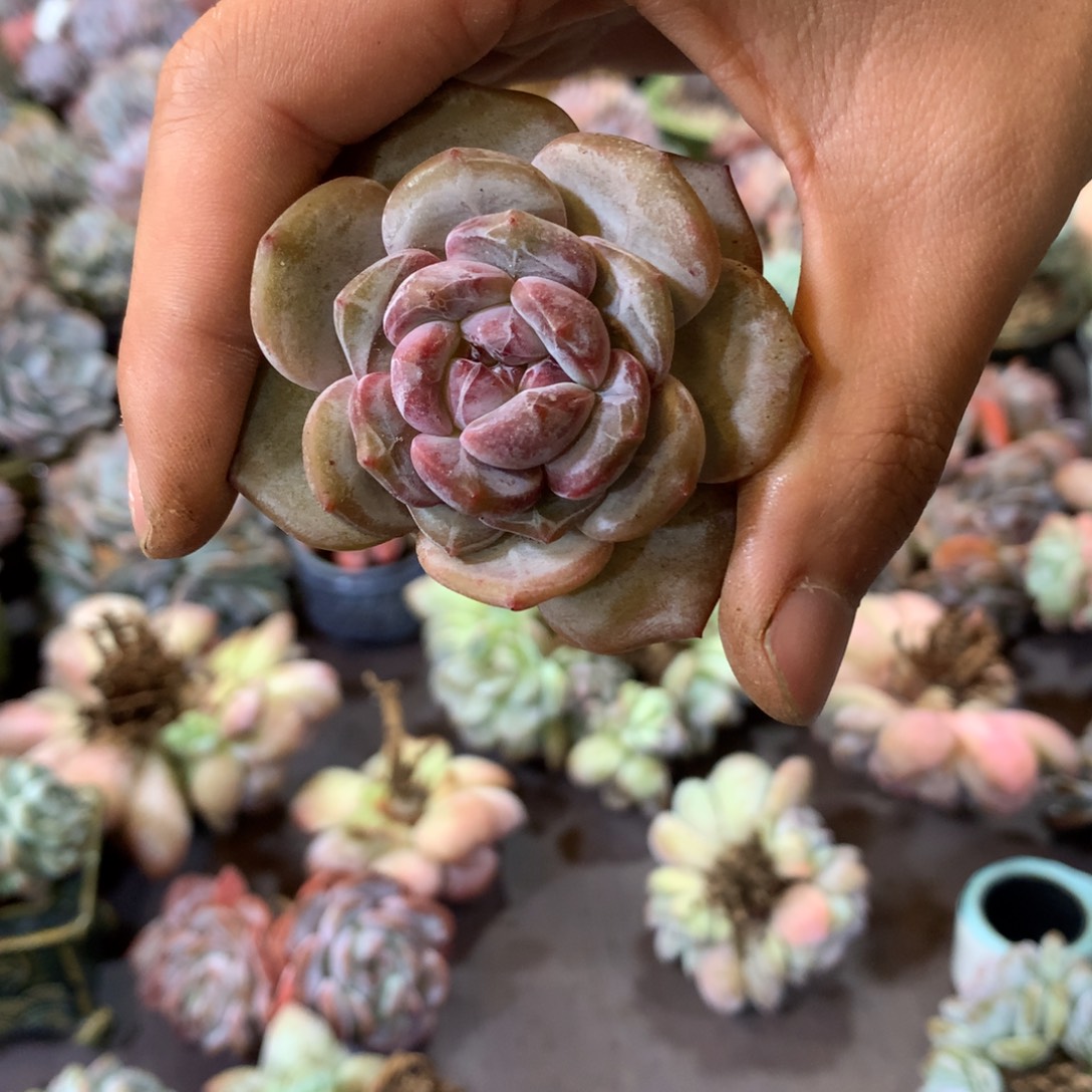 哈哈哈哈哈哈哈哈哈哈