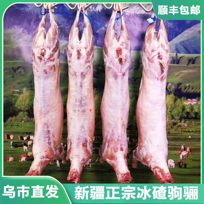 7.75-10.5kg新疆正宗驹骊山羊草膘绵羊肉半只整只生羊肉火锅食材