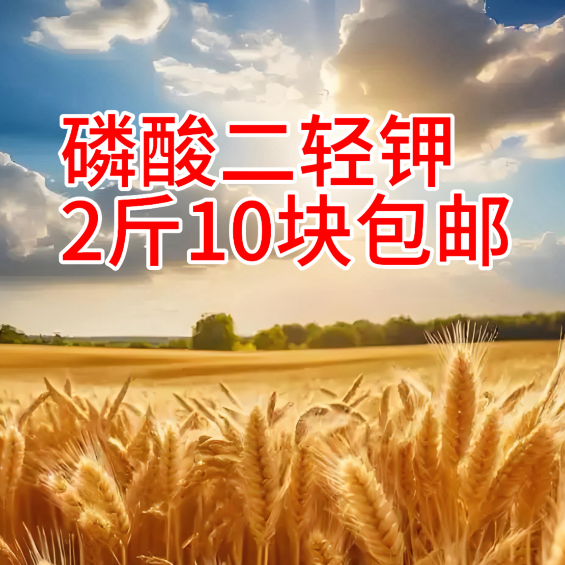 磷酸二轻钾2斤一袋包邮到家