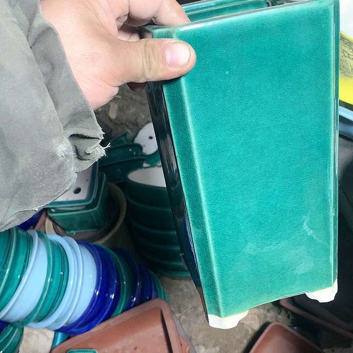 紫砂哈哈真的是太给力太火爆了