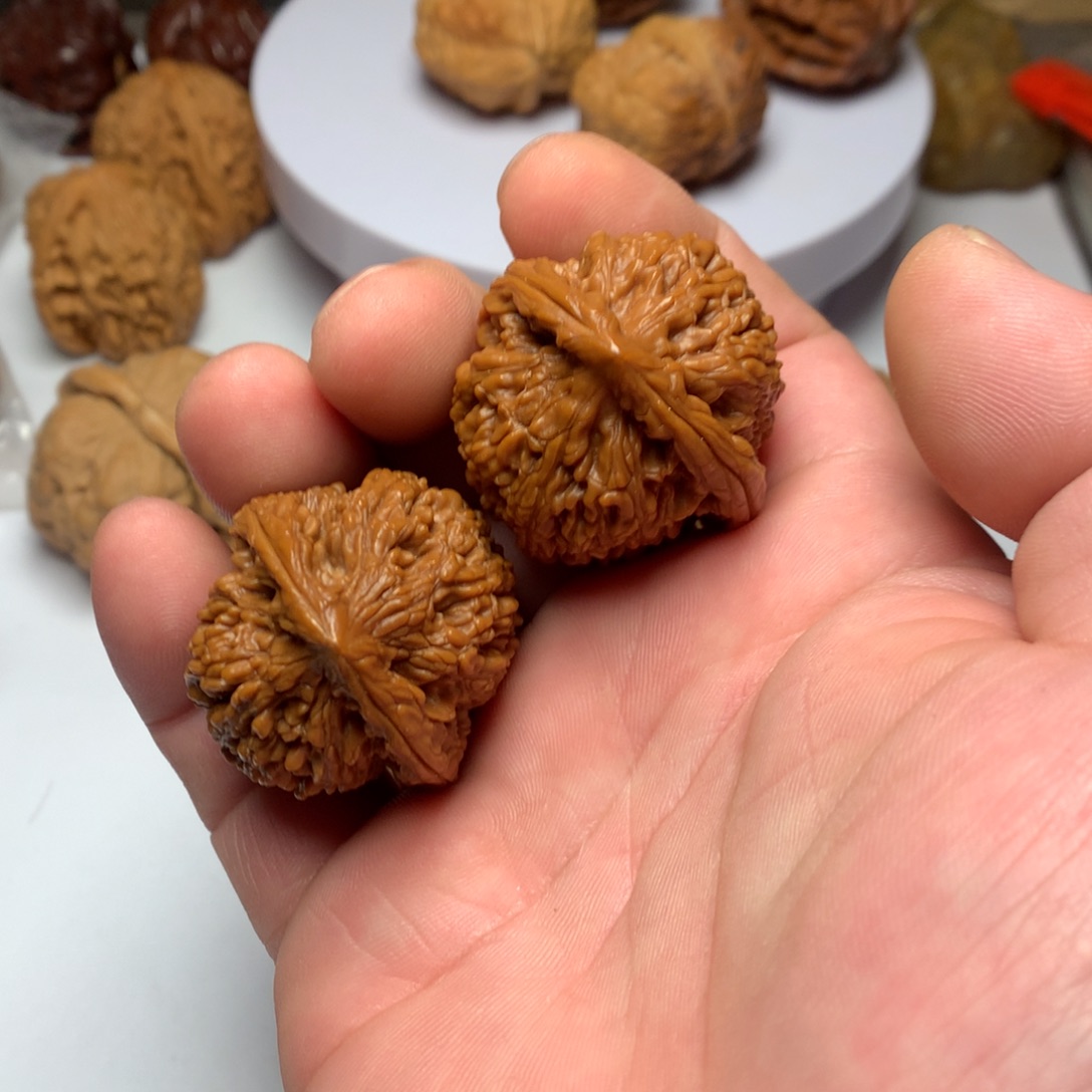 文玩核桃把件蚂蚁王