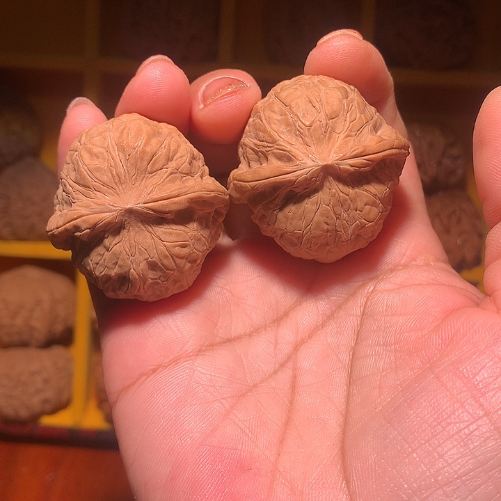 无***语大叶紫檀（黑酸枝木类）