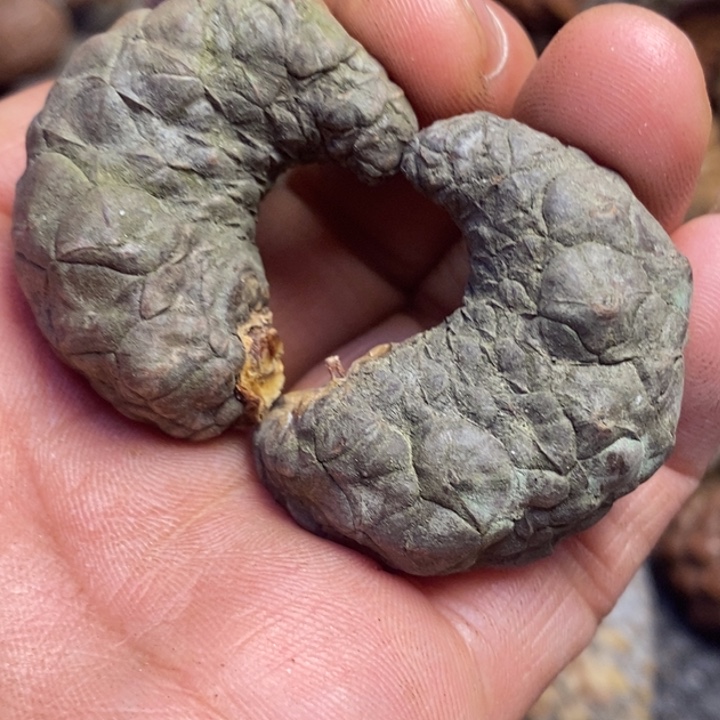 吊坠文玩核桃东北特产73