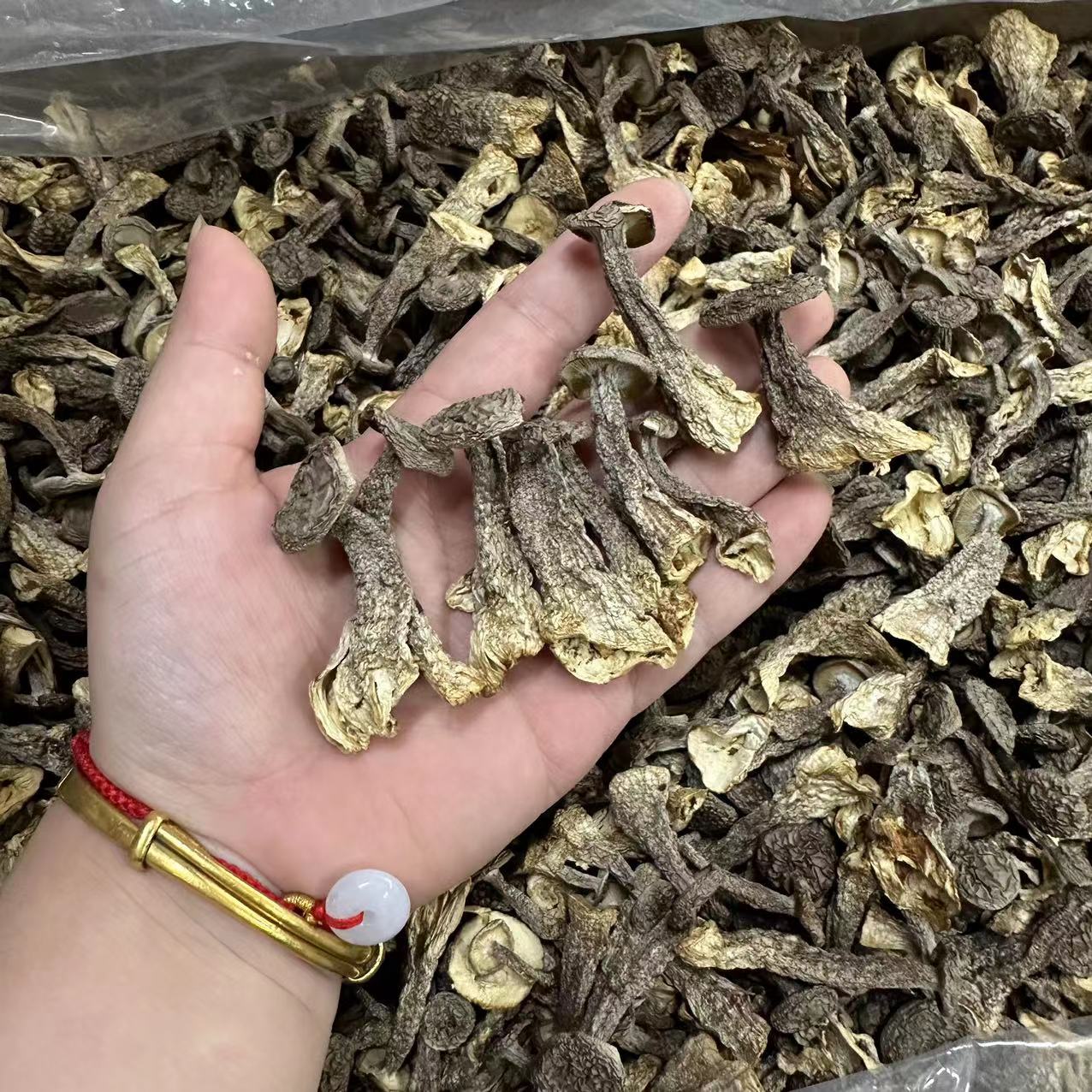 【三三】.嫩仔脆脆菇 500g