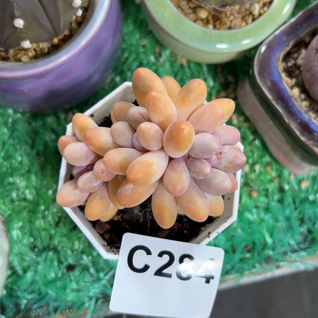 豆***子284 满38包邮一物一拍