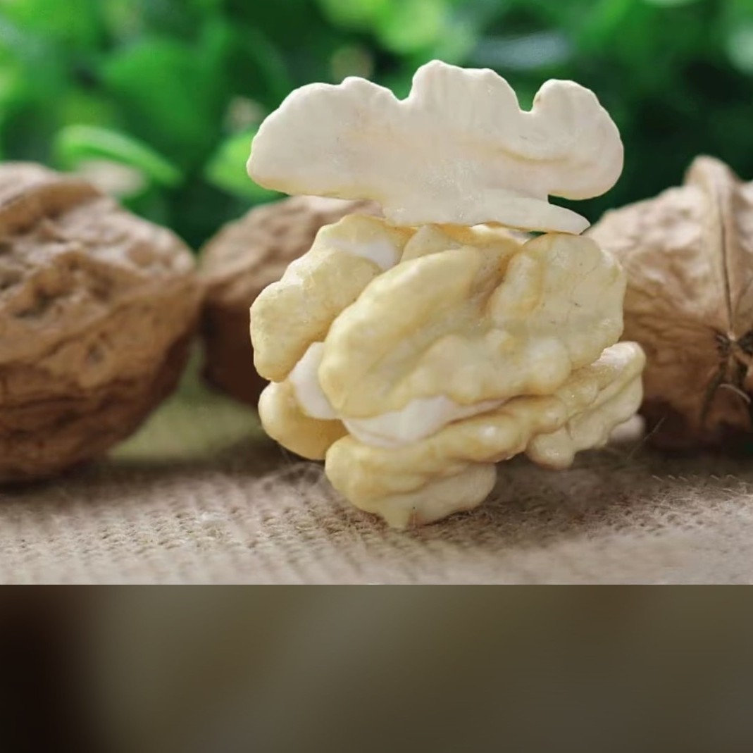 贵州老树新鲜核桃