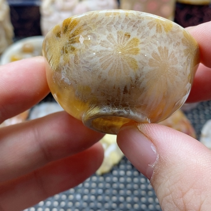 硅化珊瑚（珊瑚玉）颈饰未镶嵌