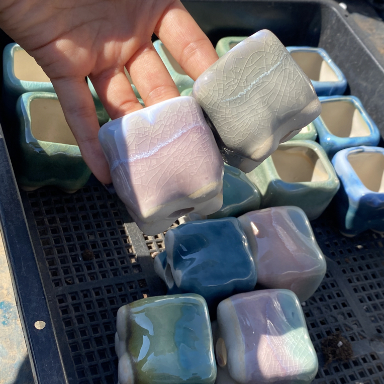 冰裂流釉可爱透气控养多肉花盆5个（4-5cm）