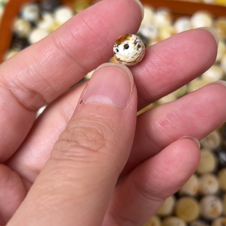 蜜蜡未镶嵌裸石8.6mm有个小沙窝