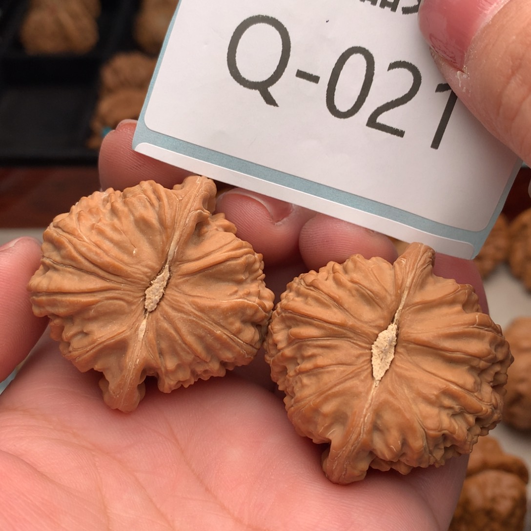 文玩核桃把件41球白……….