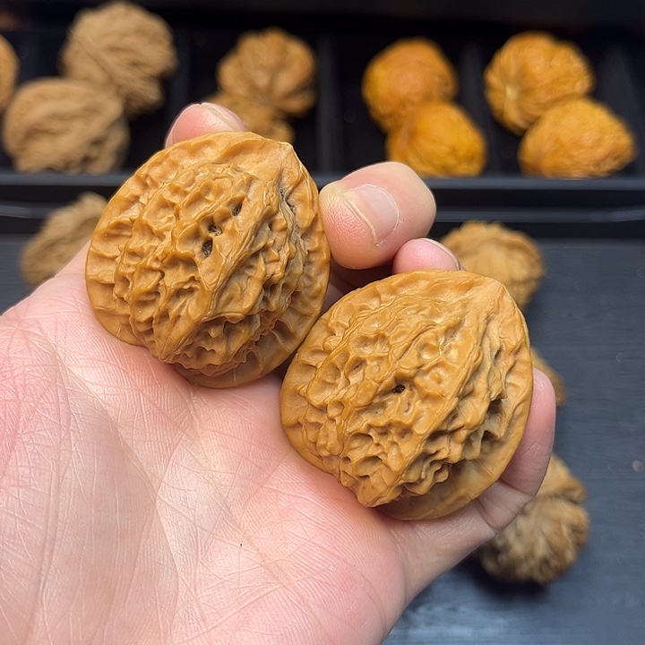 核桃秦岭山脉中段怒江与澜沧江