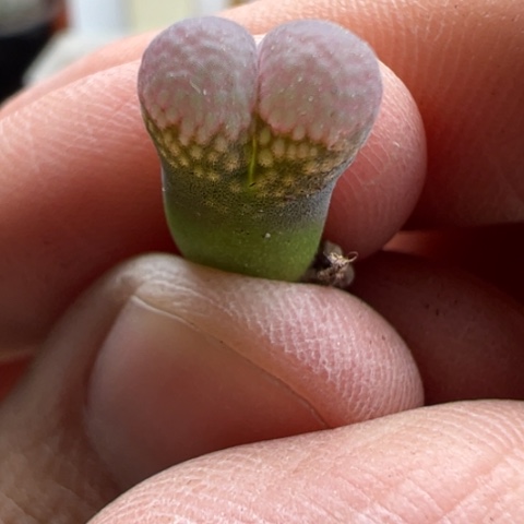 151 冲冲冲冲冲冲冲冲冲冲冲冲