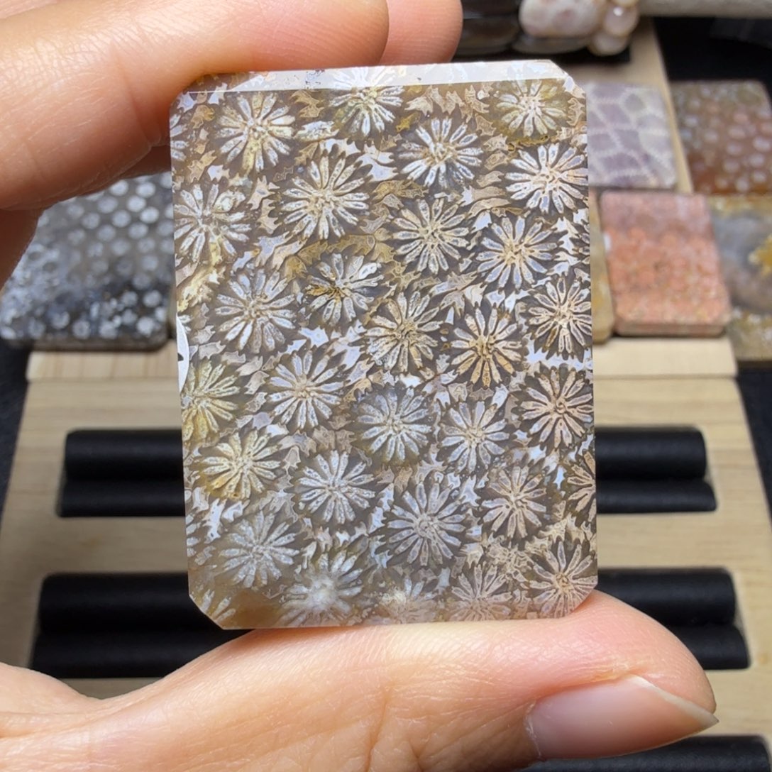 硅化玉未镶嵌玉透清晰立体满花，平安