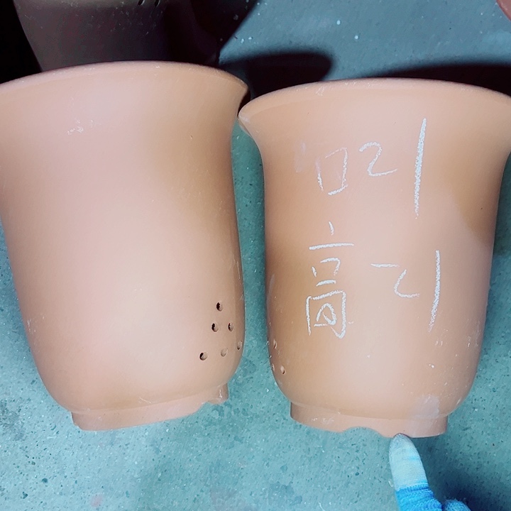 红陶紫砂这种紫砂