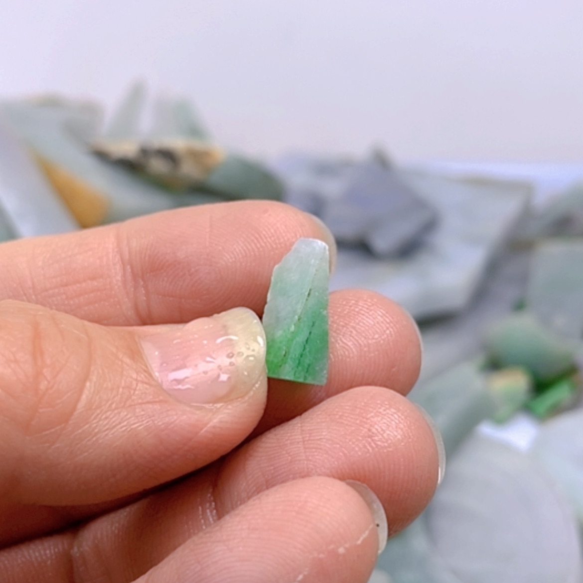 【闪购商品】翡翠颈饰未镶嵌普*A