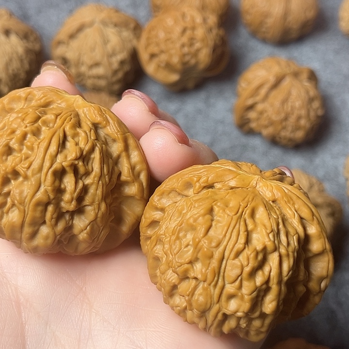 奋***牛白狮子有修的35 对