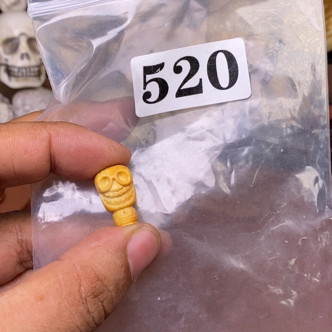 其他驼骨人工样子