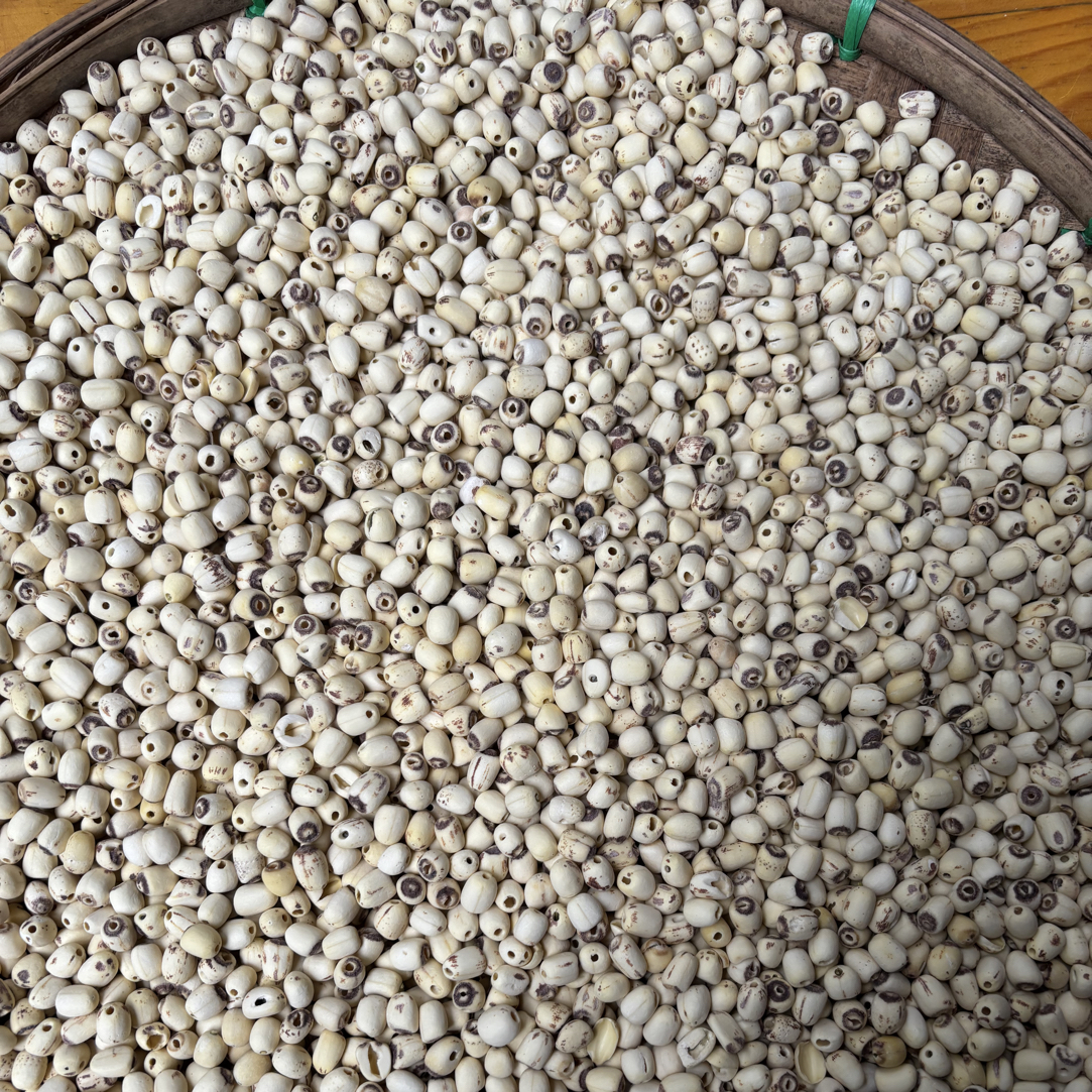 阿静精选，，（莲子，干）