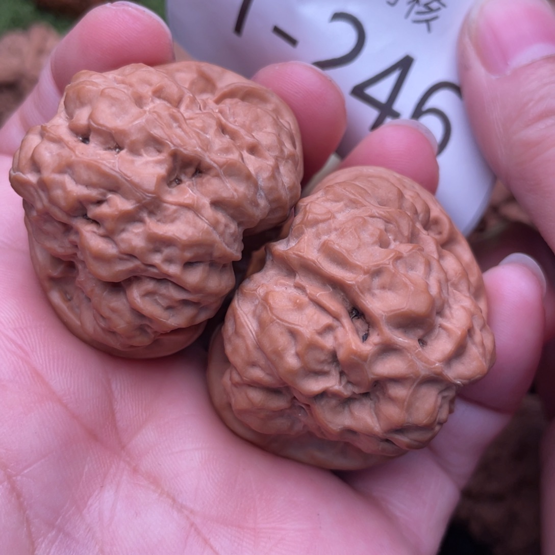 文玩核桃把件毕业金蟾三角肌肉蛙41