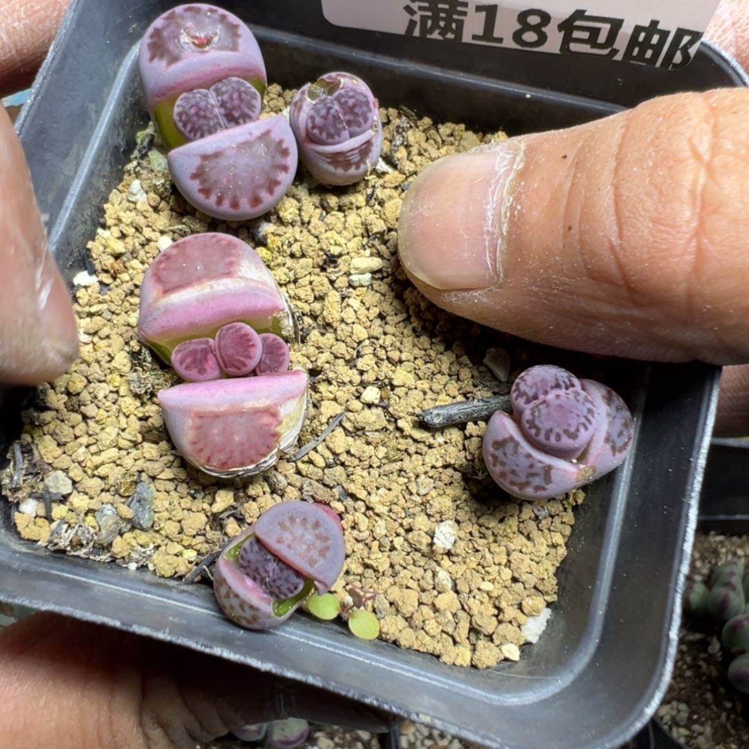 【闪购商品】 417。 