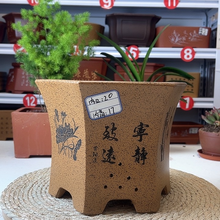 紫砂花盆蛇年大吉