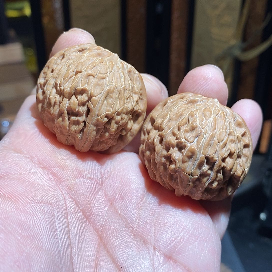 文玩核桃把件39磨盘全品