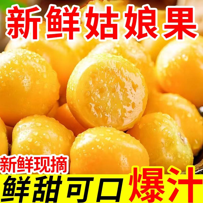 东北姑娘果特产水果新鲜当季整箱灯笼果黄菇娘洋姑娘果大果甜菇凉