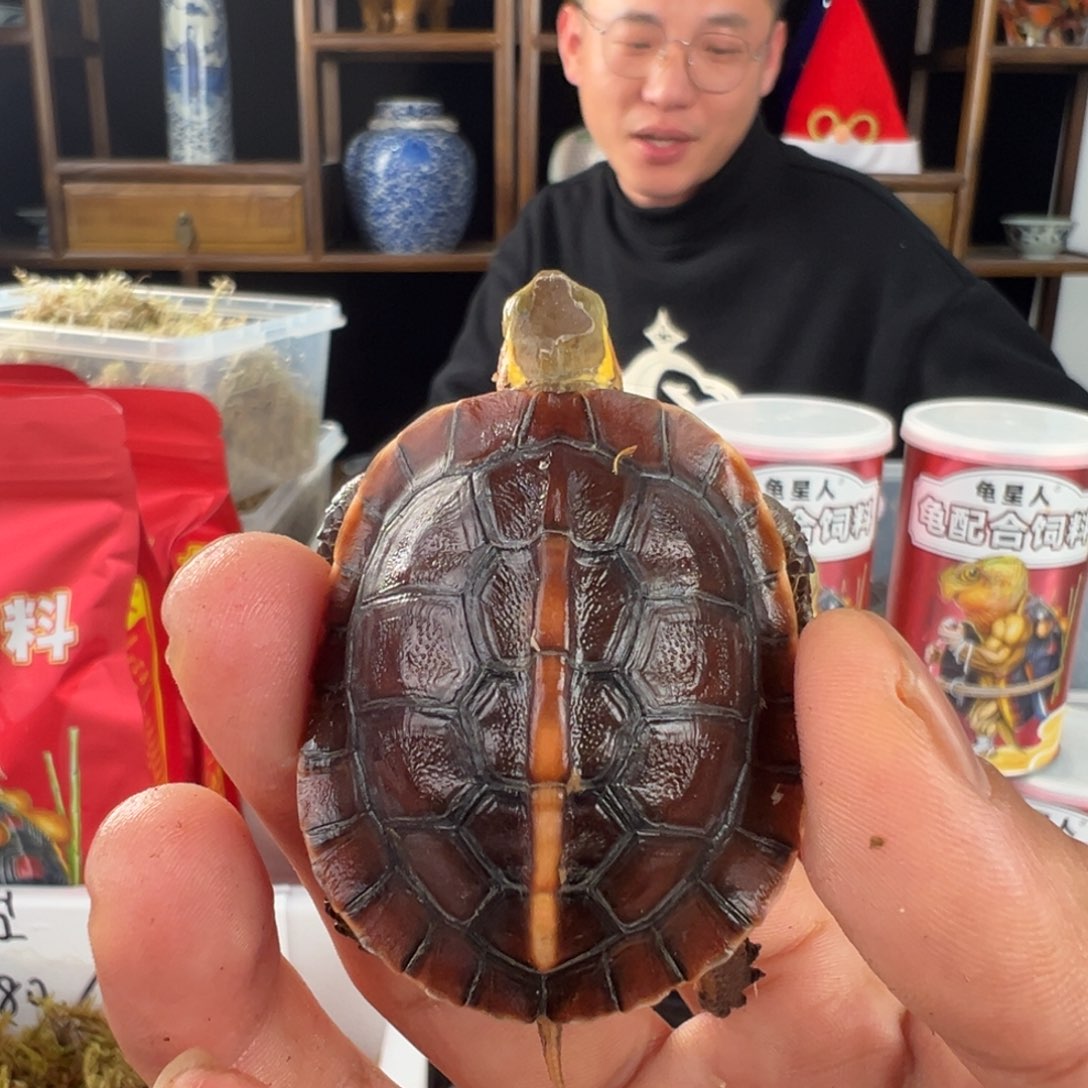 母长**O新年快乐呀大美女