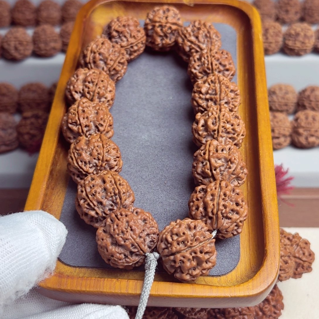 金刚菩提吊坠原生态安的老籽五星蜂双龙粗筋楼空超头订制22+姜黄