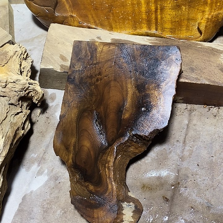 金丝楠木小叶桢楠木