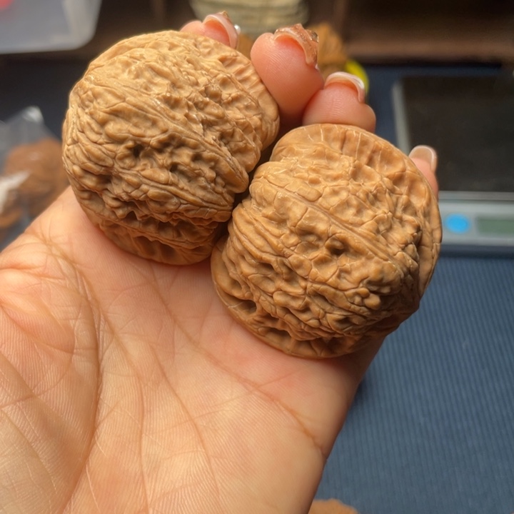 核桃45绣球全品8888