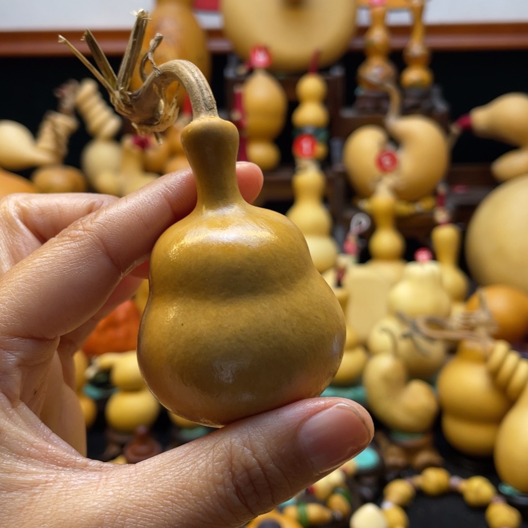 微*大自然的秘密第十一节的故事