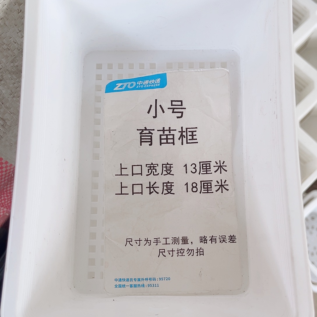 塑料小号育苗框白色10个