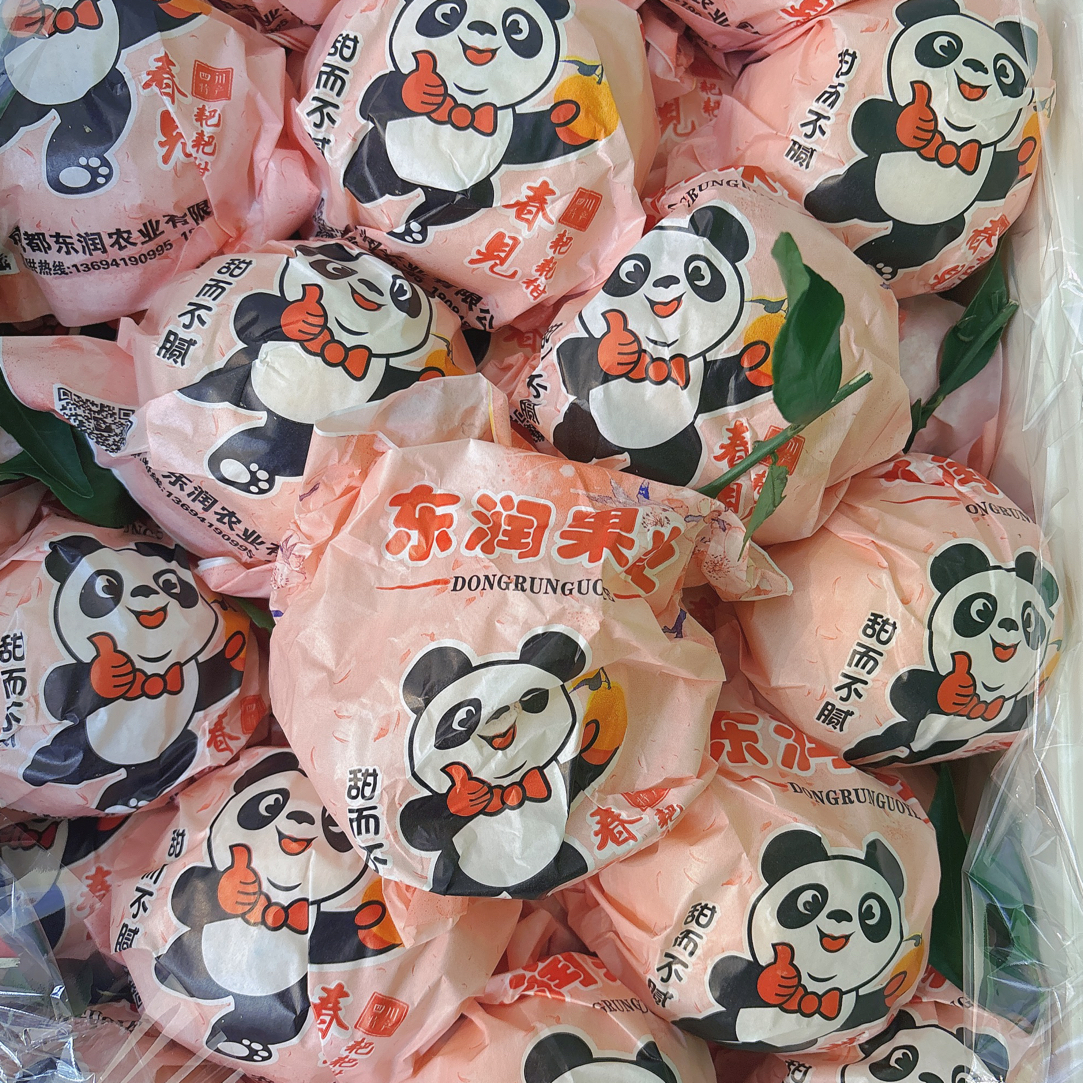 春见粑粑柑8.8/斤～纯甜