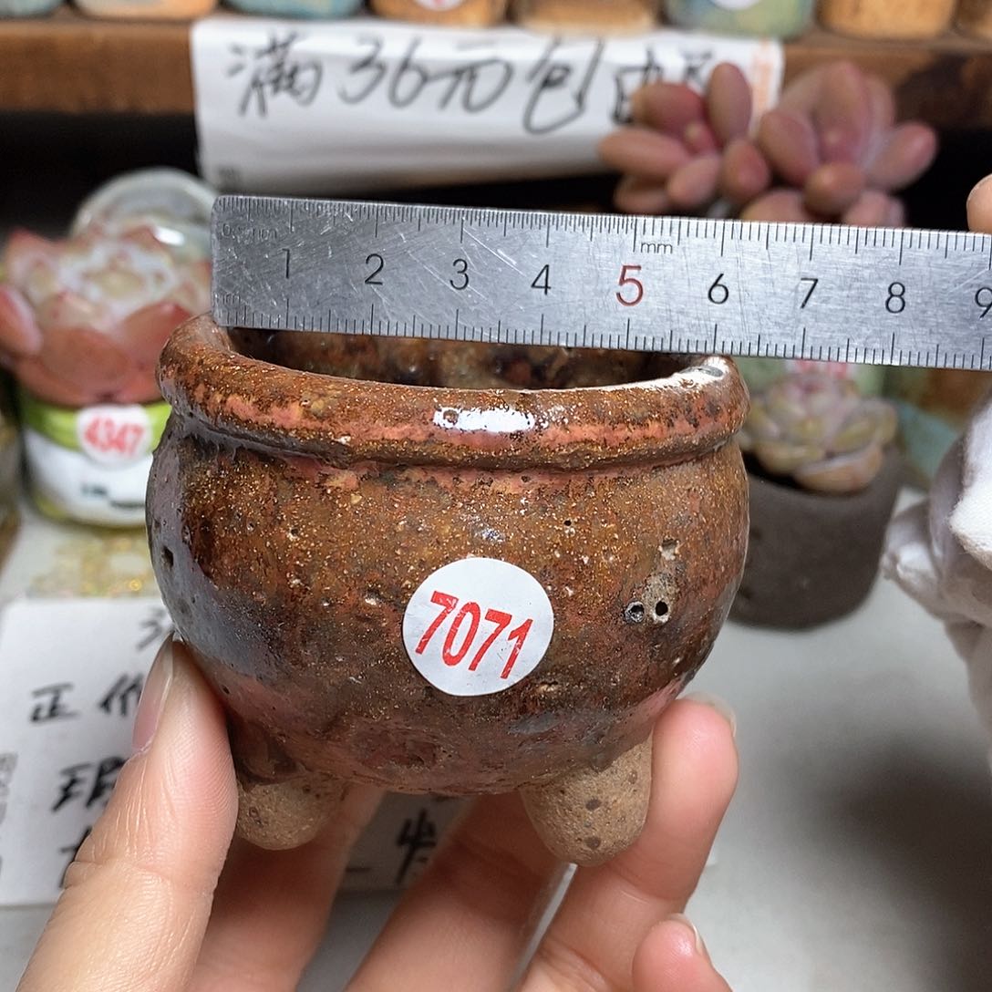 红陶拍5送一个小