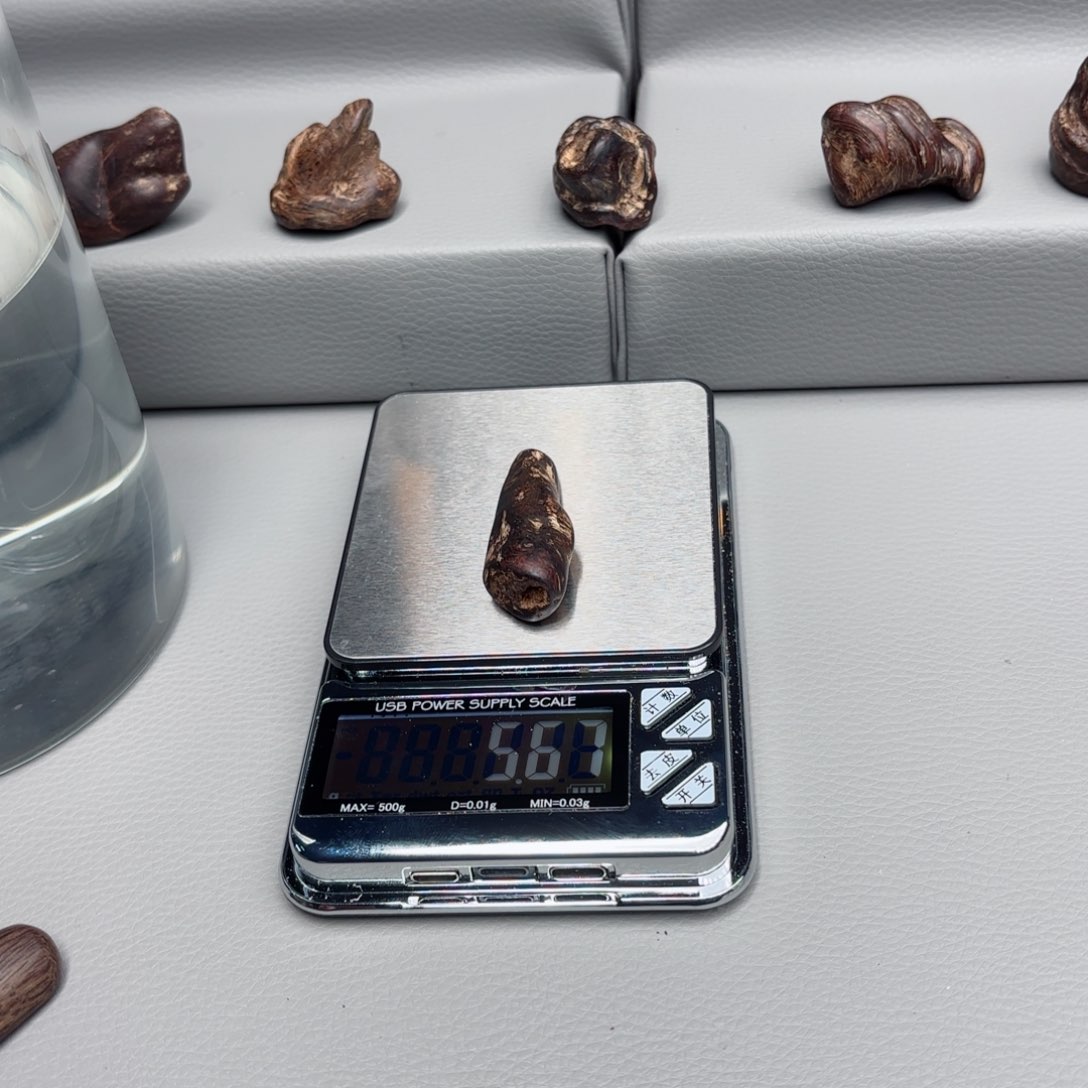 文莱文莱文莱文莱