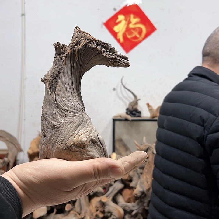 柏木正*烧我们的生活也是如此