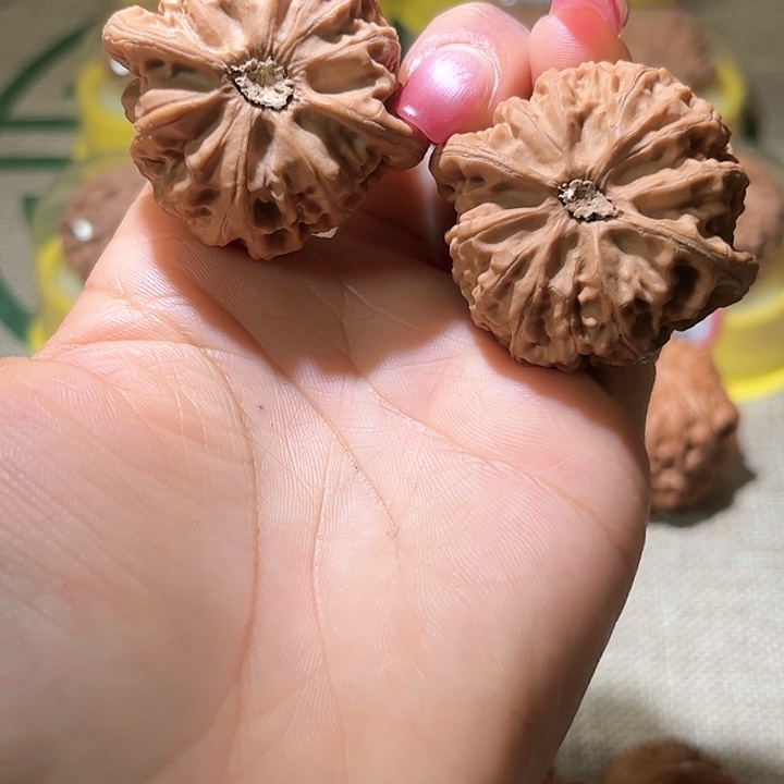 43尺寸宫灯！好运连连