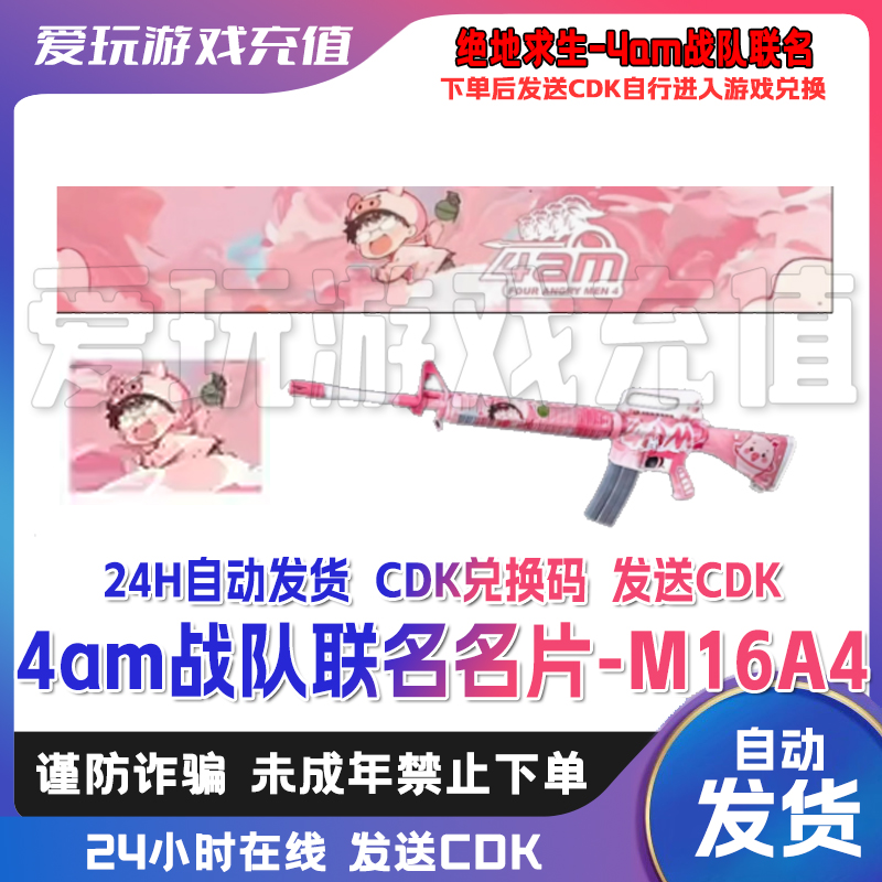 PUBG绝地求生steam pubg皮肤4am战队联名名片永久CDK兑换码