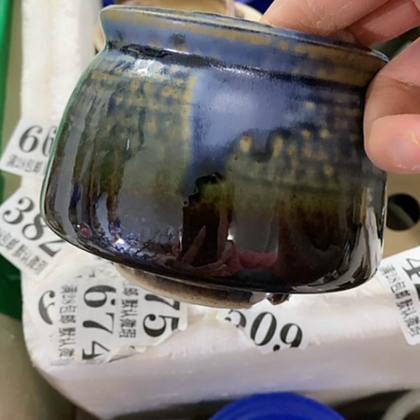 【闪购商品】红陶口8