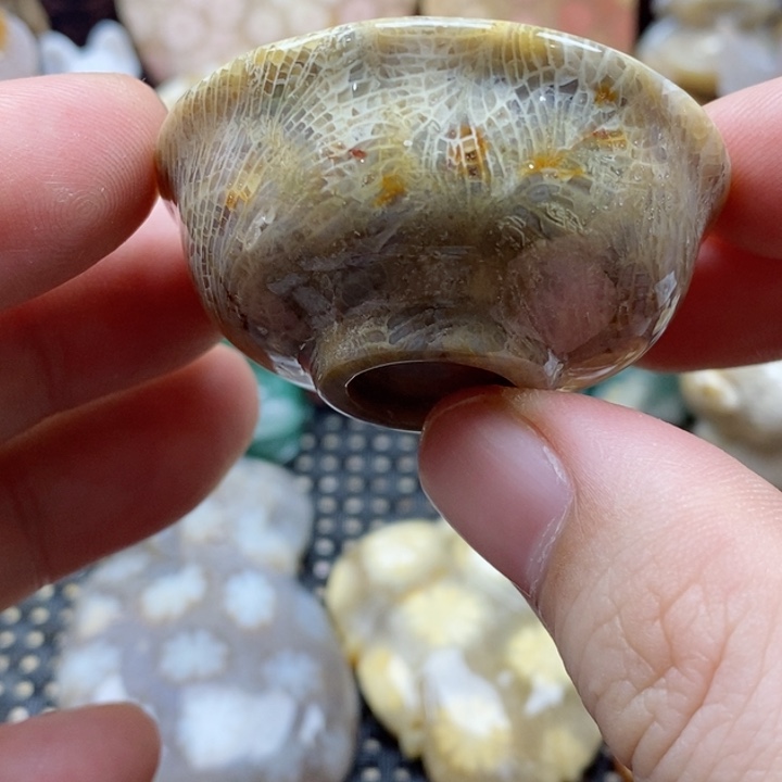 硅化珊瑚（珊瑚玉）颈饰未镶嵌